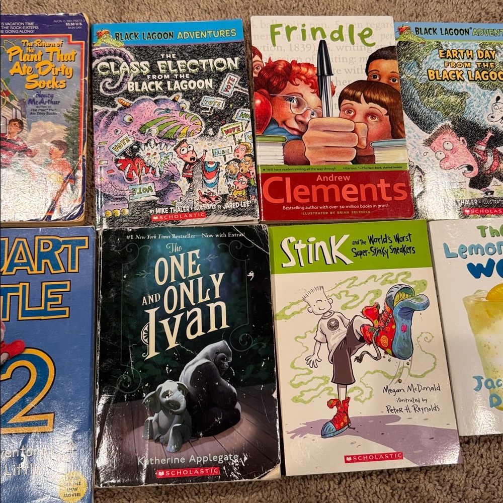Chapter Books Bundle - Picture 3 of 4